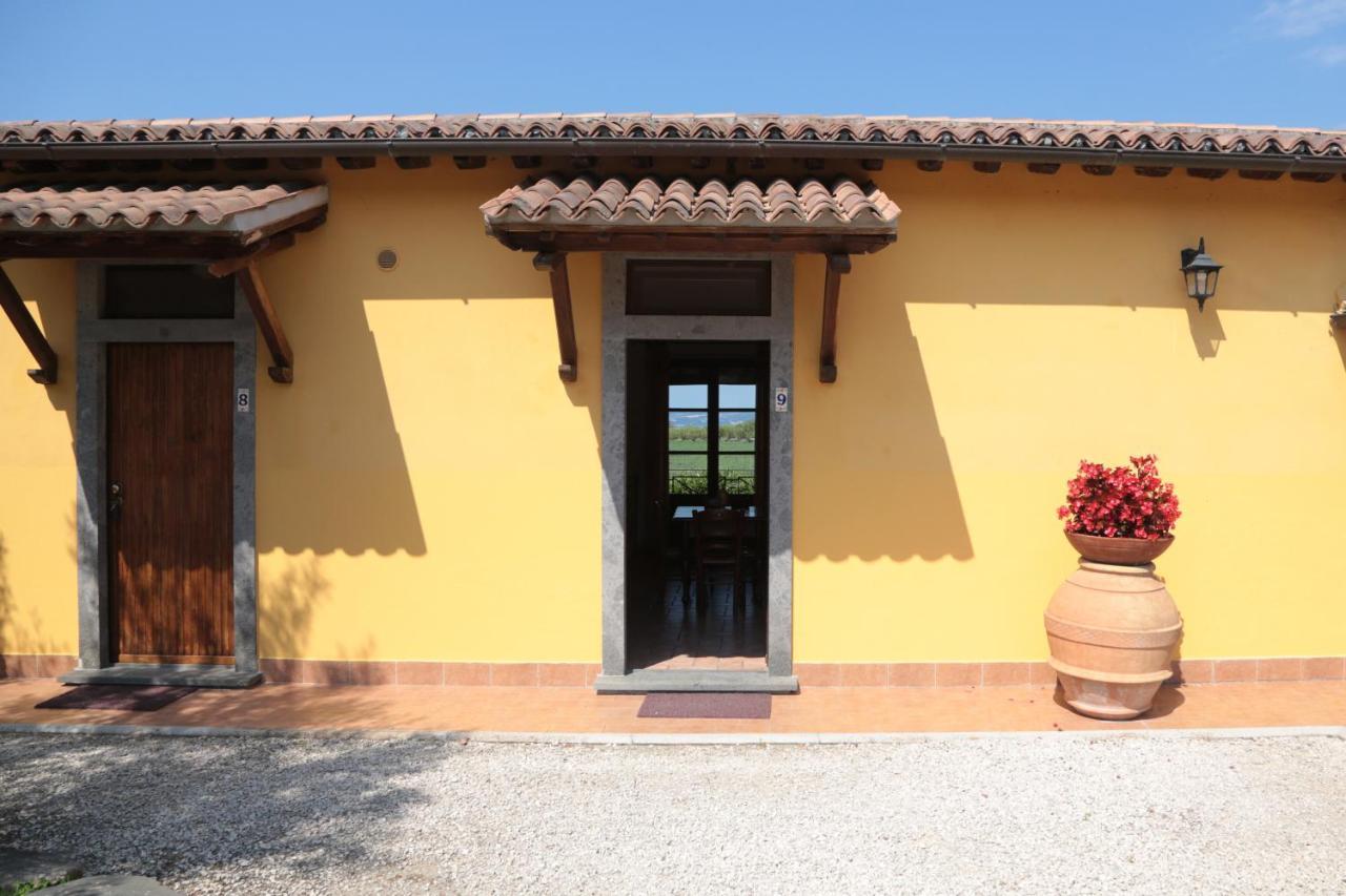 Agriturismo Arlena 博尔塞纳 客房 照片