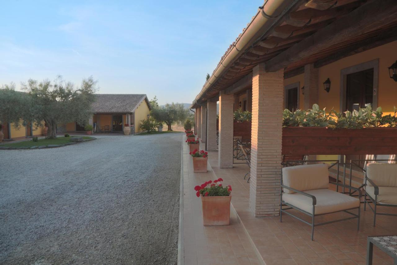Agriturismo Arlena 博尔塞纳 外观 照片