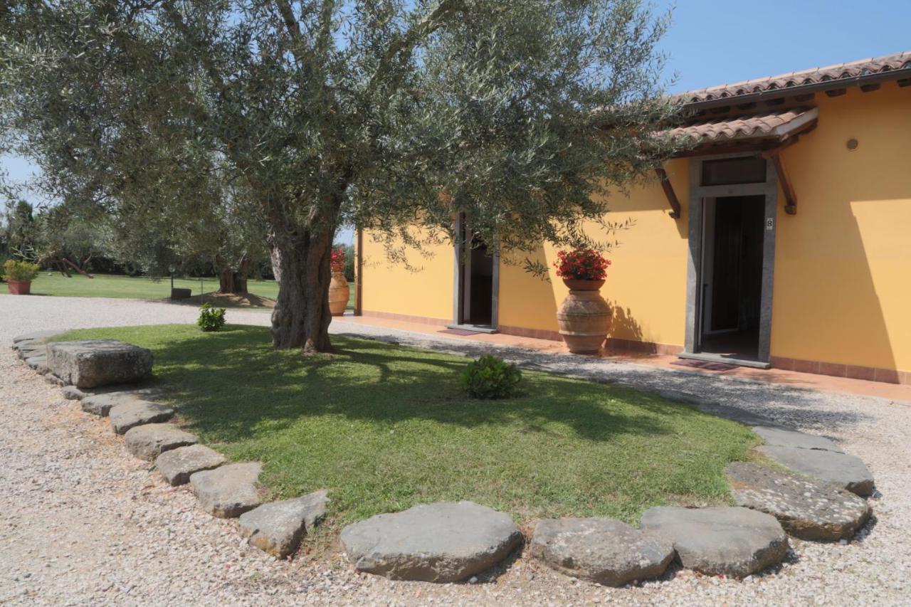 Agriturismo Arlena 博尔塞纳 客房 照片