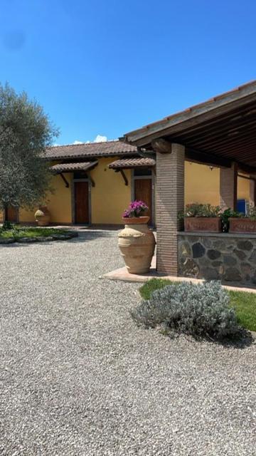 Agriturismo Arlena 博尔塞纳 外观 照片