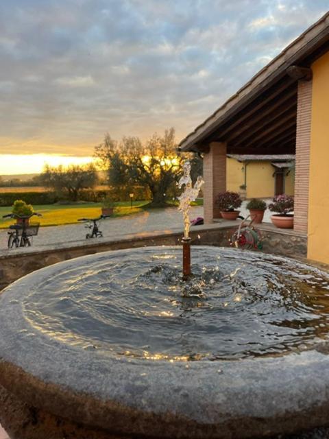 Agriturismo Arlena 博尔塞纳 外观 照片